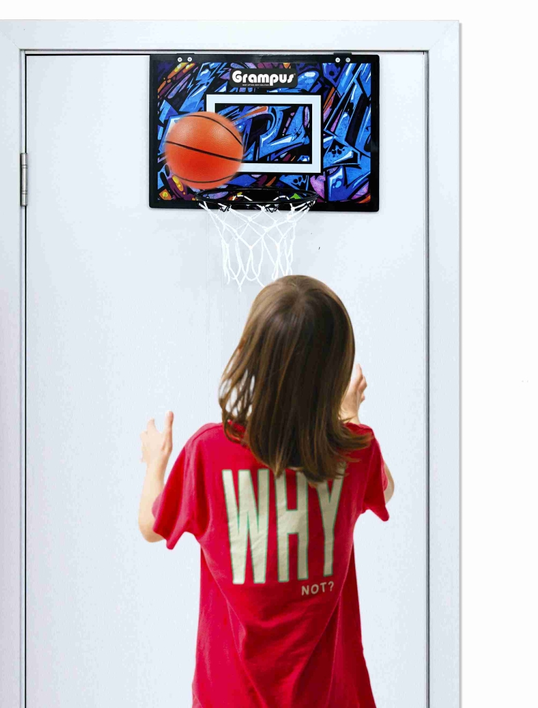 Door Panel Basketball Hoop